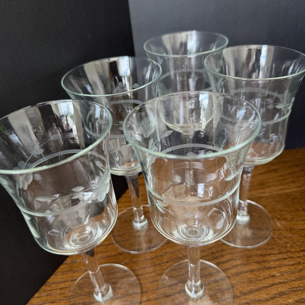Vintage Frosted Grapevine Etched Stemware Princess House Style Barware Set of 5